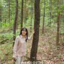 백년숲사회적협동조합 이데일리