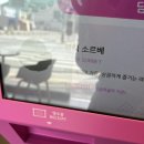 배스킨라빈스천안성환점