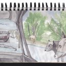 대지를 바라보며 이미지