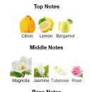 목련헤어라인 이미지