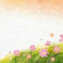 아침당구 Daum카페