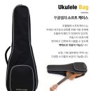 우쿨렐레(중급) | 입문용 우쿨렐레 추천, YK-310CM 50% 특가로 만나요