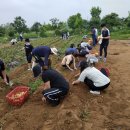 남부농장 이미지