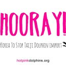 Hooray! South Korea will ban dolphin import from Taiji, Japan 이미지
