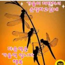 월욜 출부지기 준이맘입니다 어서오세요~^^* 이미지