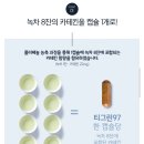 티그린 이미지
