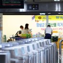산지직송농산물