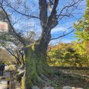 펜션밴드 이미지