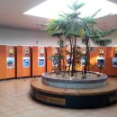 늘,예쁜개 이미지