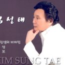 ＜j＞내인생의 비타민 / 김성태 (i) 이미지