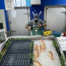 충주축산농협하나로마트안림점