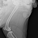 정창수외과동물병원 이미지