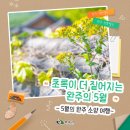5월 완주 소양 : 소양 여행