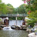 오도산 자연휴양림 이미지