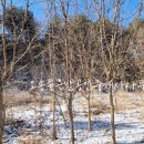 이현주공인중개사사무소 이미지