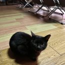 BAN(반) | [태국/매홍손 빠이(Pai)여행] 반자보 일출 투어(Ban Jabo Sunrise Tour) 예약방법 및 후기🌄