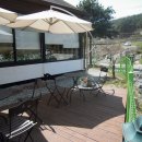 물고기식당 이미지