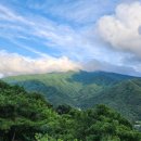 견불동산장 이미지