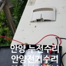 부림동050 이미지