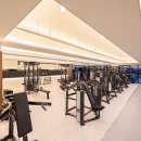 아이휘트니스 이미지