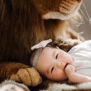 보림스튜디오 - 경주시 백률로 19 | 보림스튜디오