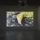 수림자원 | 빈칸 만들기의 반-급진성에 대하여