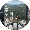씨힐 이미지