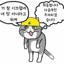 양철지붕위의고양이 이미지