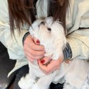 모찌네호캉스 이미지