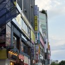 착한돈까스&알콜역 | 서현역돈까스 바삭돈카츠 서현점 안심등심 치즈카츠 후기