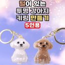 두현과학 이미지