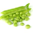 분당척병원 이미지