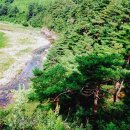 계곡사랑 이미지