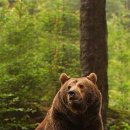 자연 + 인간 + 이미지