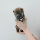 동두천-045 이미지