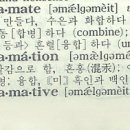 Amalgamation(아말가메이숀)과 Rule dance(룰 댄스) 이미지