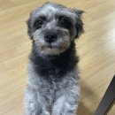 운암제2근린공원 이미지