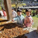 광주콩종합센터 이미지