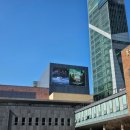 2024 토요키즈클래식 2월 이미지