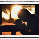 예블링 네일 이미지