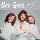 To Love Somebody(Bee Gees) 이미지