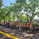 함평군사회복지협의회 이미지