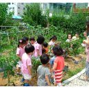 천마어린이집 이미지