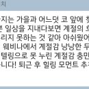 아트인와인 이미지