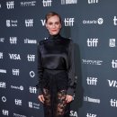 벨라.캣 이미지