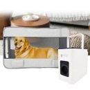 뽀송하개 애견미용 이미지