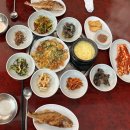 도니친구미나리 네이버블로그