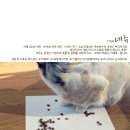 ㈜이레산업 | 탁월한 기호성으로 만묘의 애사료가 되다.우수후기 장기체험단 2차 (유기농사료, 내츄럴파이브, 사료...