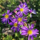 키즈키득펜션 | 감성 숙소 키즈 펜션 밀양 펜션인 DG481펜션의 달라진 풍경