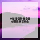 수피부샵 - 아산시 | 수피부샵